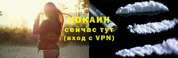 кокс Корсаков