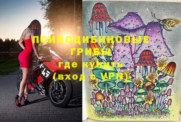 кокс Корсаков