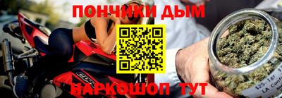 скорость Дубна