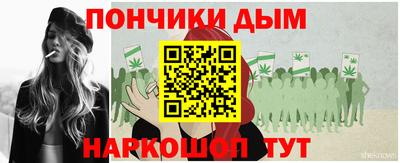 скорость Дубна
