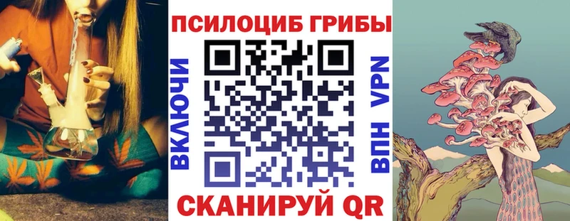 Псилоцибиновые грибы GOLDEN TEACHER  где продают наркотики  MEGA зеркало  Калининград 