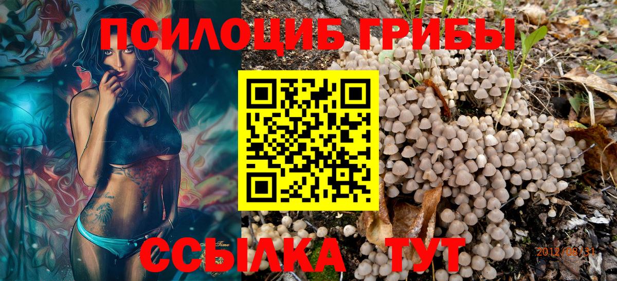 Галлюциногенные грибы Cubensis  где купить наркоту  Калининград  Вход с VPN 